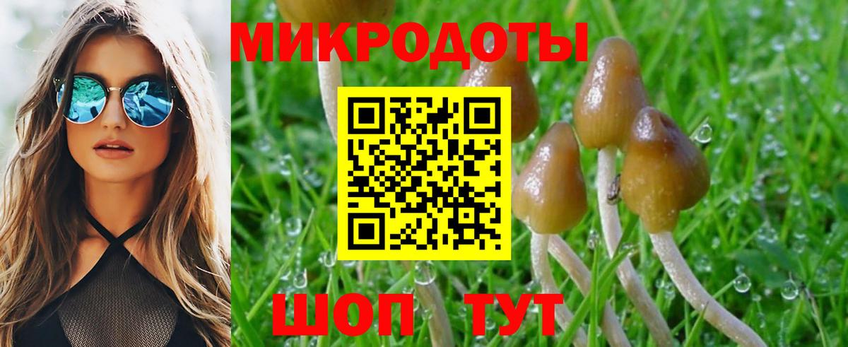 Малгобек  Псилоцибиновые грибы Magic Shrooms  Вход с VPN 